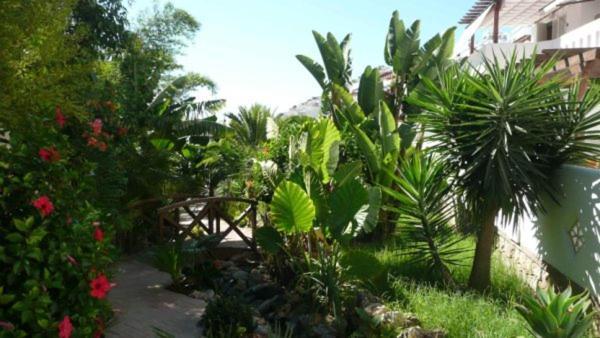 Marino Apartment Almunecar Luaran gambar